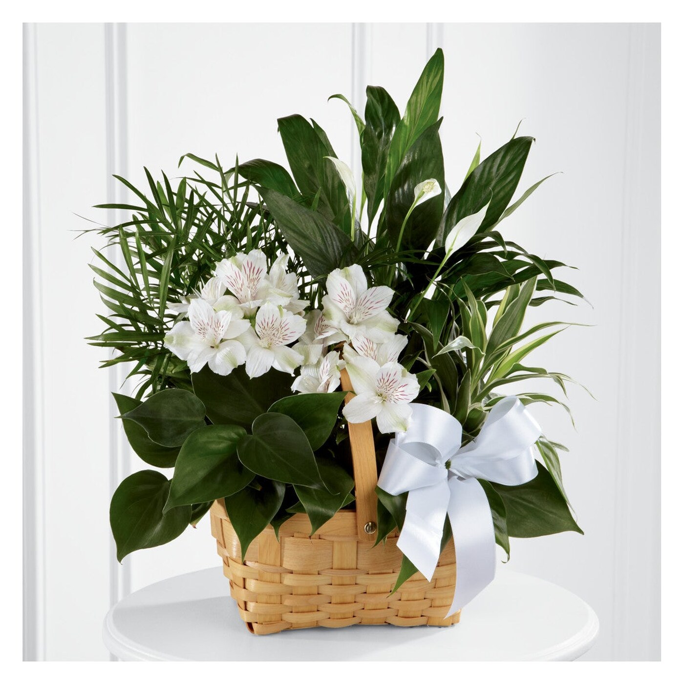 Peace & Serenity Dishgarden flower arrangement