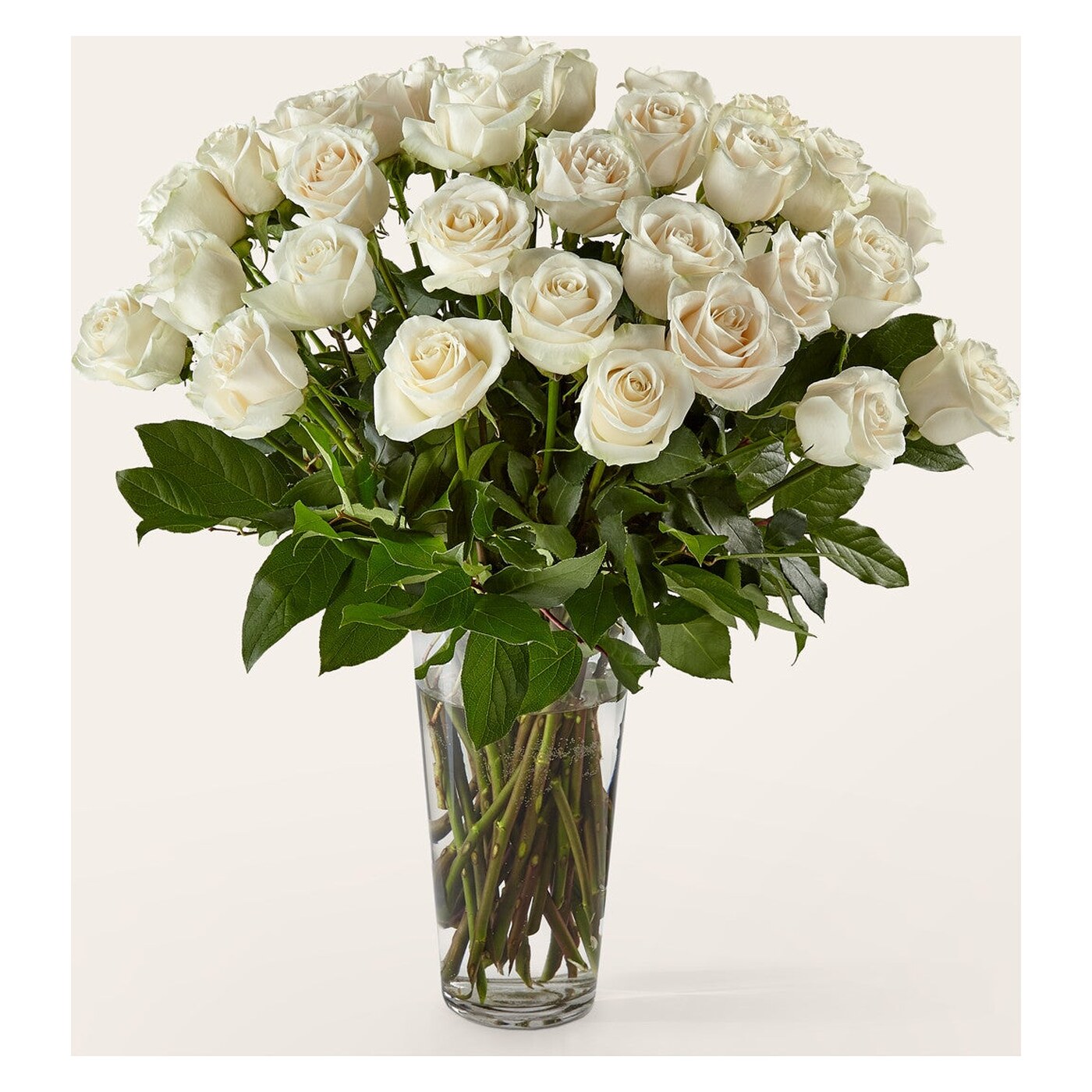 Long Stem White Rose Bouquet arrangement option 4