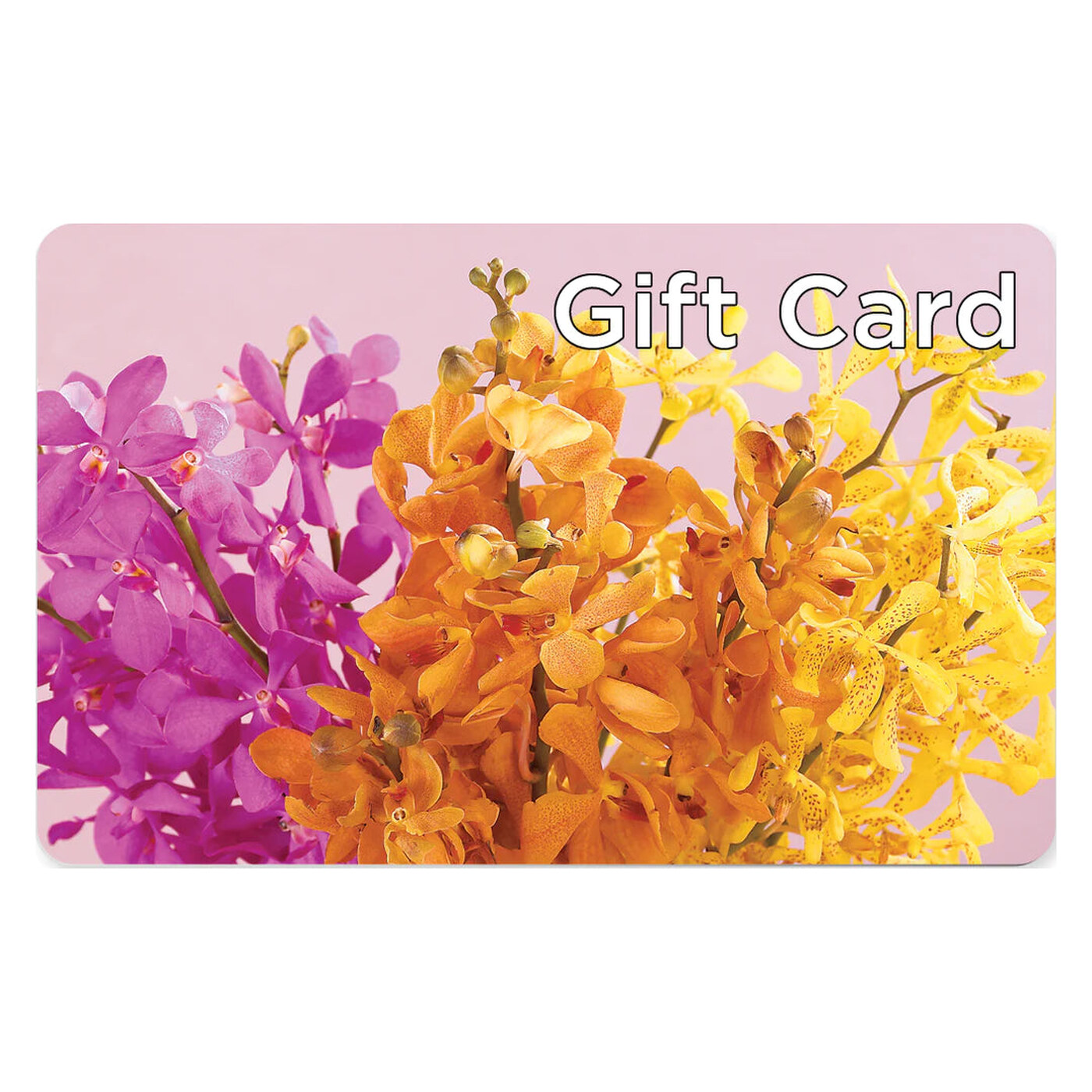 Gift Card arrangement option 2