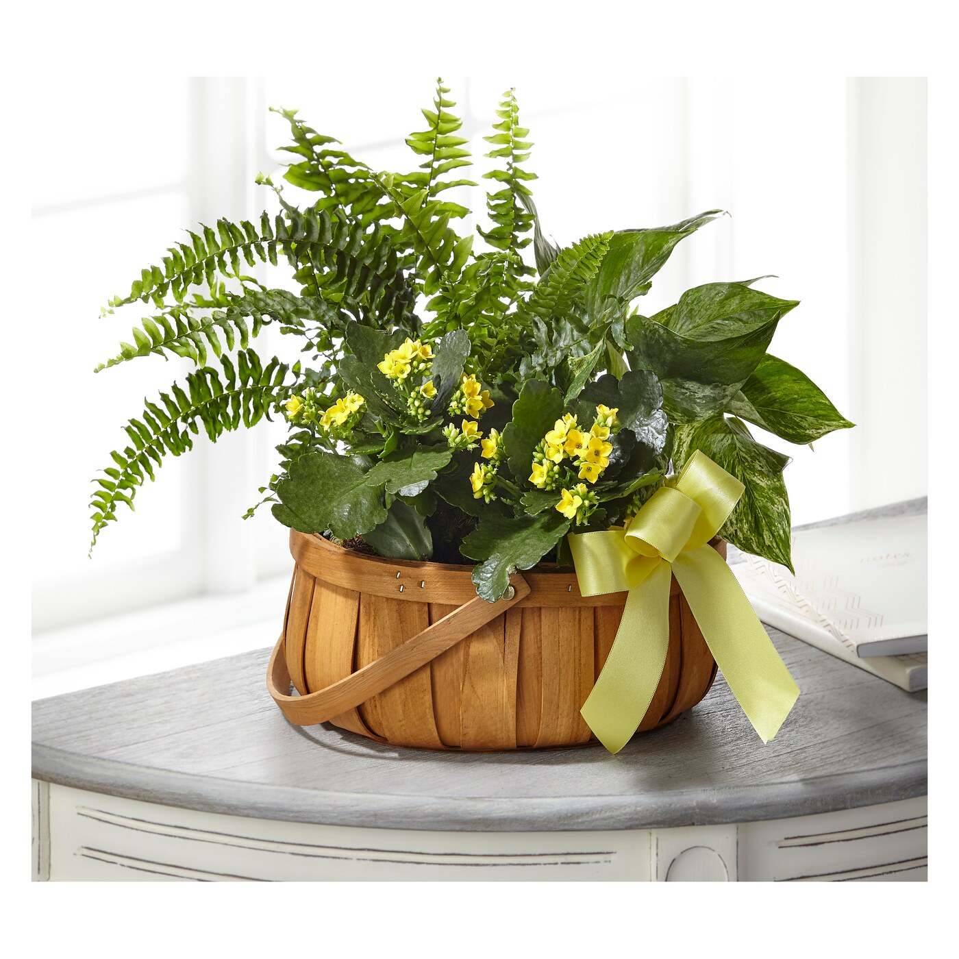Always Dear Dishgarden flower arrangement