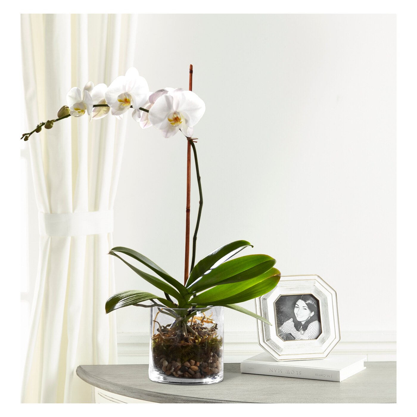 White Orchid Planter flower arrangement