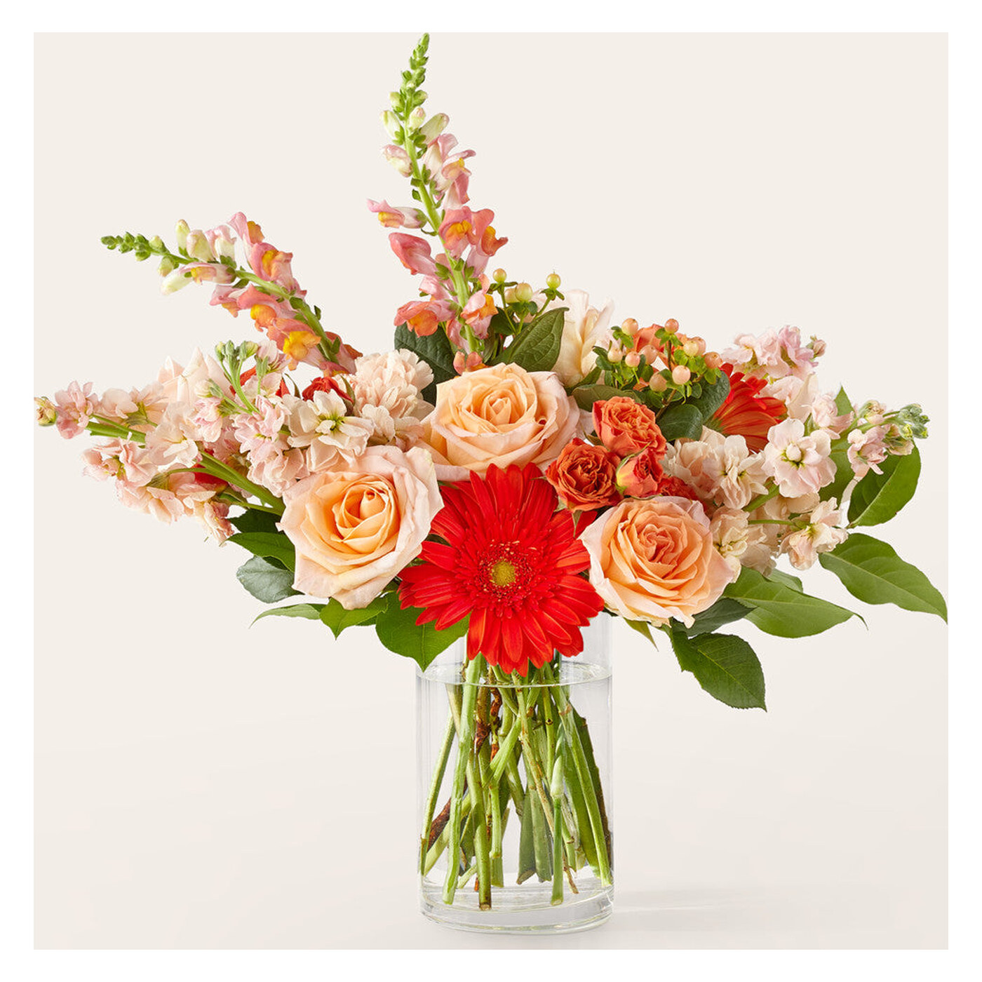 Paloma Please Bouquet arrangement option 2