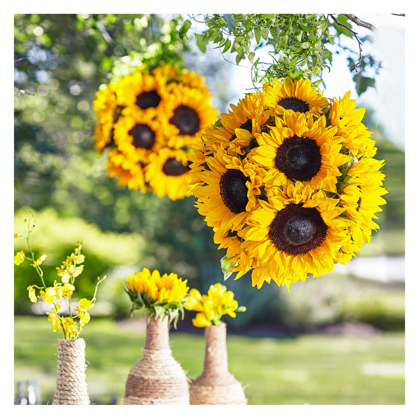 Sublime Garden Hanging Arrangement flower arrangement